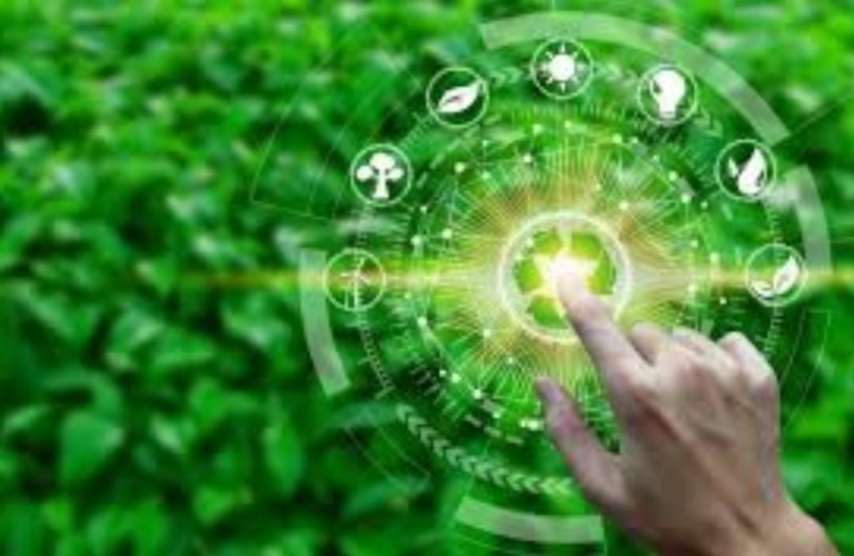 Agriculture Industry